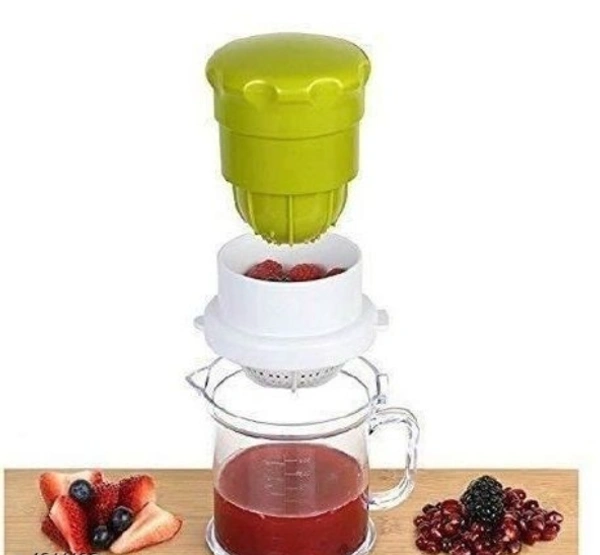 Plastic &Stainless Steel Mini Fruit And Vegetable Juicer - Free Size, Green, Plastic &Stainless Steel, Juicer, Pack of1